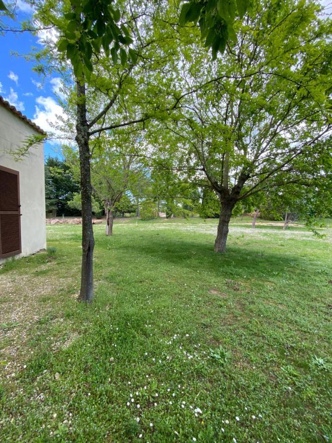 Villa Raffinee, Parc Cloture, 4000M2, Piscine 5X10 Blauzac  外观 照片