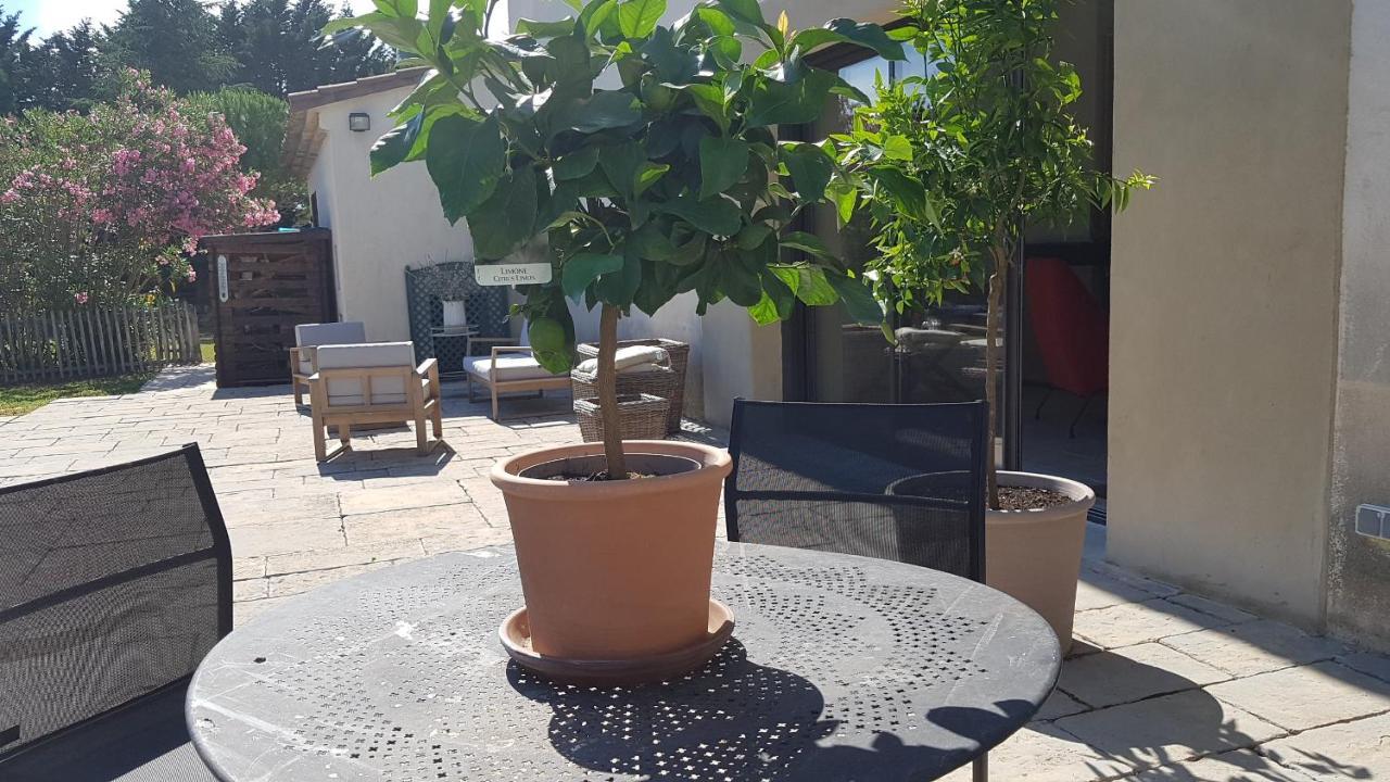 Villa Raffinee, Parc Cloture, 4000M2, Piscine 5X10 Blauzac  外观 照片